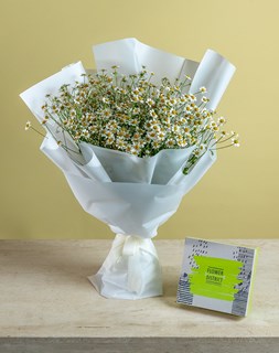 Show details for Tanacetum Bouquet With Pecan Caramel - 10 Stems Picture of Tanacetum Bouquet With Pecan Caramel - 10 Stems