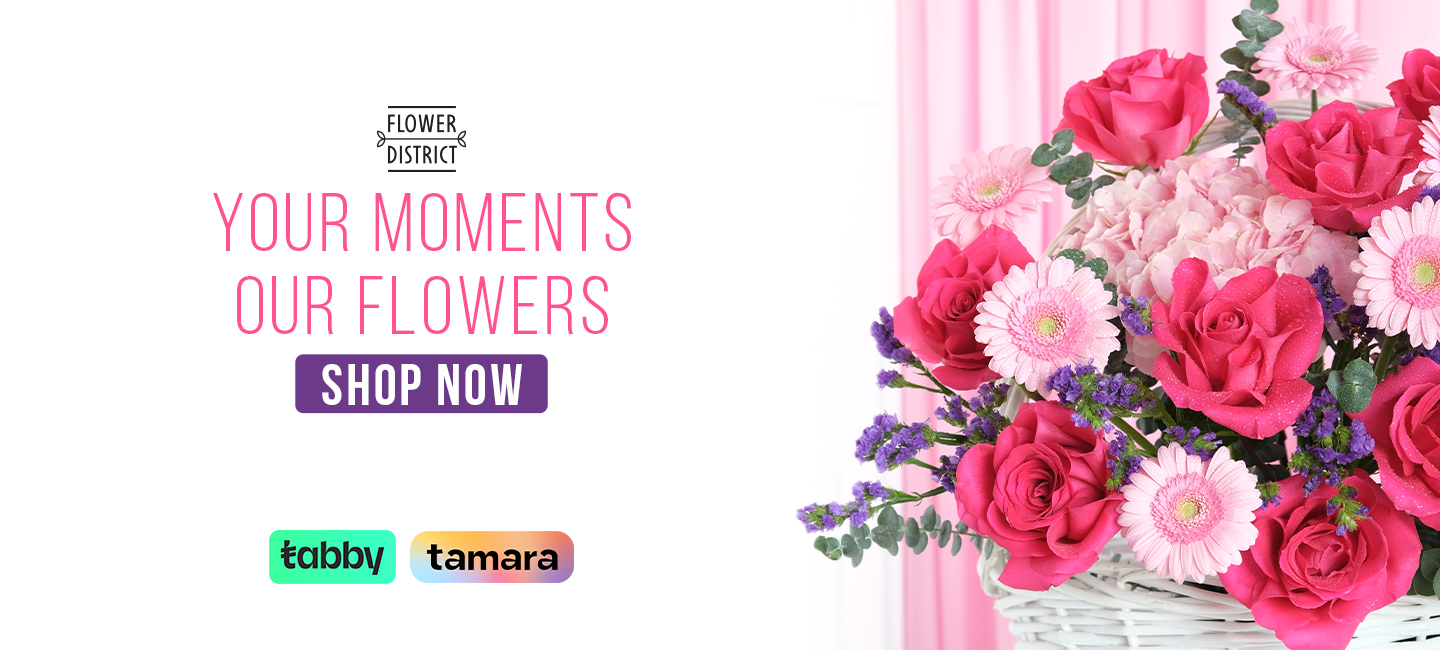 <p>Hero Banner - 1</p>