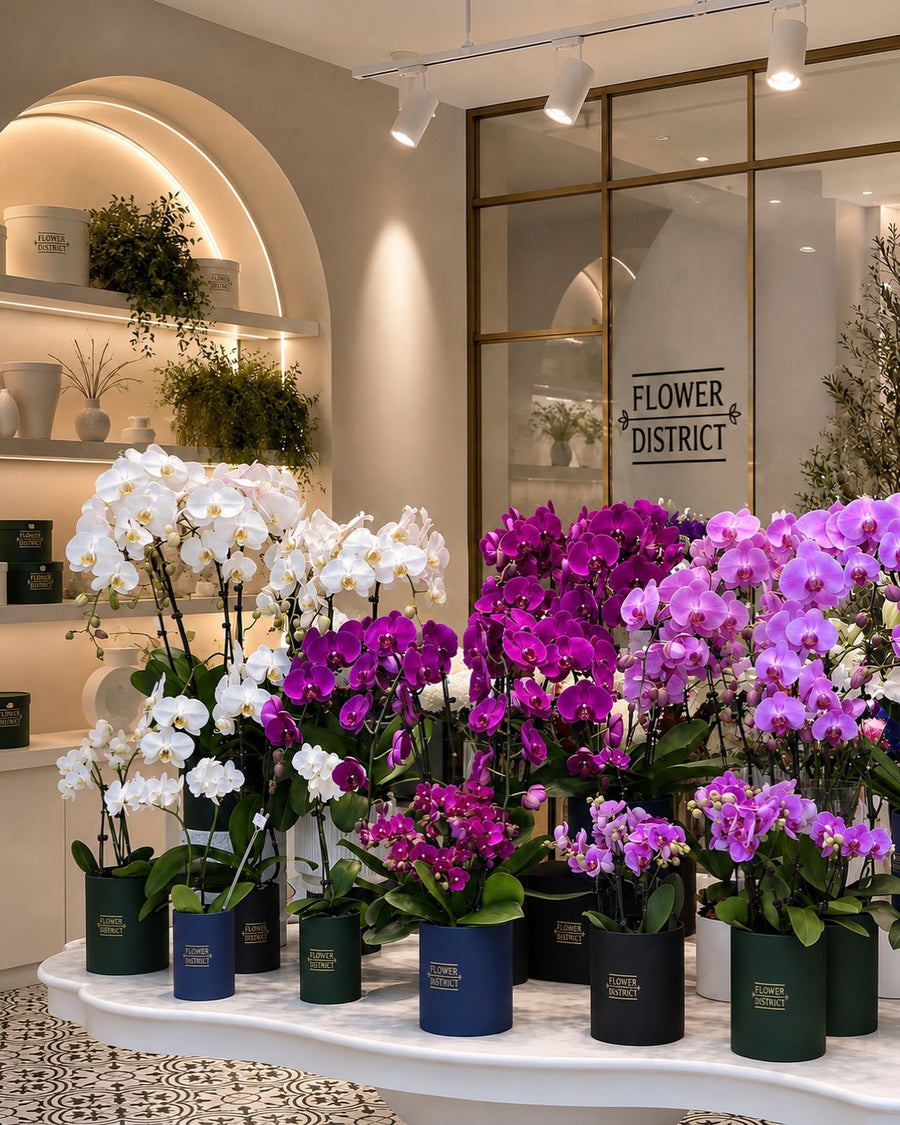 Flower District - Al Warqa City Mall