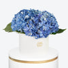 Blue Hydrangea in Large White Box Arrangement