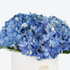 Blue Hydrangea in Large White Box Arrangement