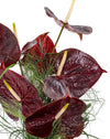 The Crimson Bride Bridal Bouquet - Image 3