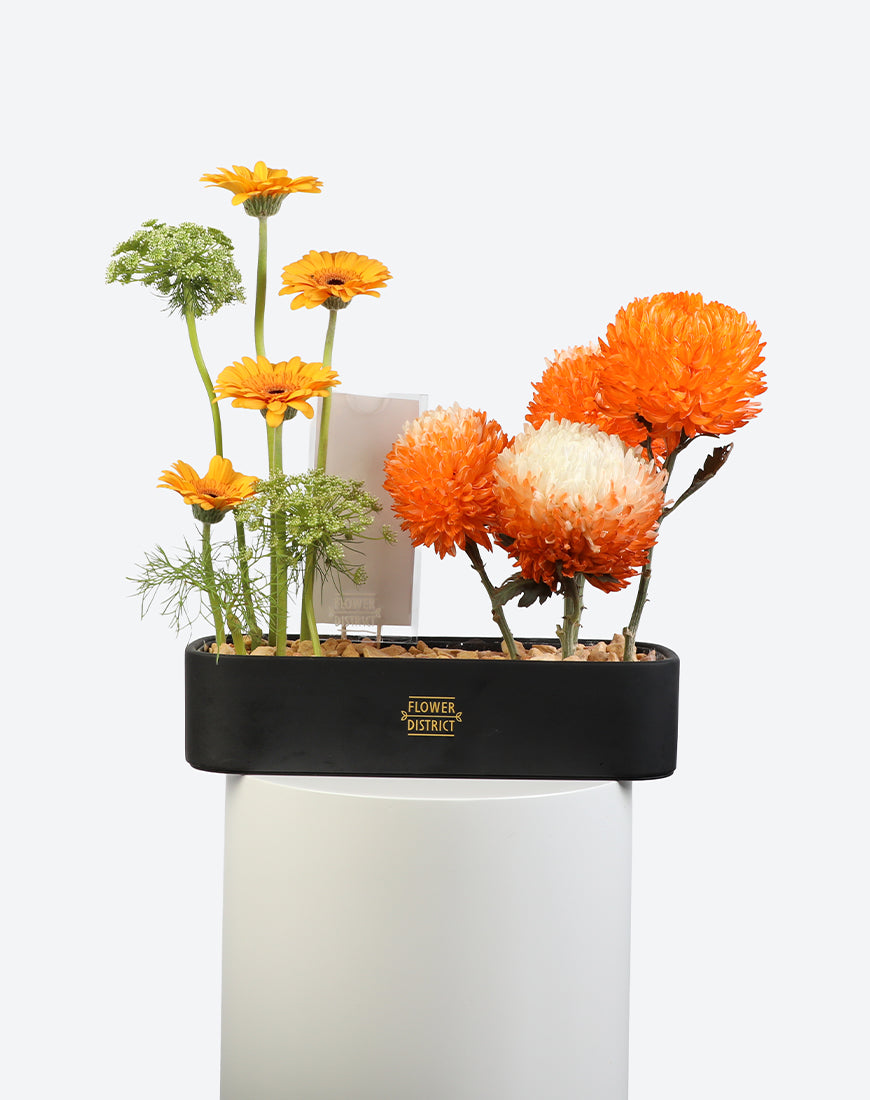 Amber Glow Leather Tray With Money Box