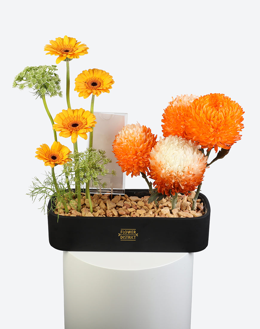 Amber Glow Leather Tray With Money Box - Image 2