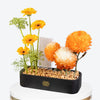 Amber Glow Leather Tray With Money Box