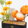 Amber Glow Leather Tray With Money Box
