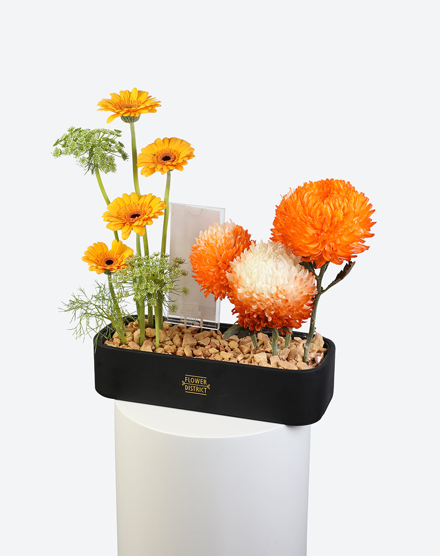 Amber Glow Leather Tray With Money Box - Image 5