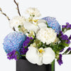 Blue & White Grace Medium Box Arrangement