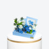 Blue Bloom Baby Boy Tray with Frame