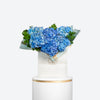 Blue Hydrangea Flower Bouquet image01