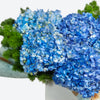 Blue Hydrangea Flower Bouquet image02