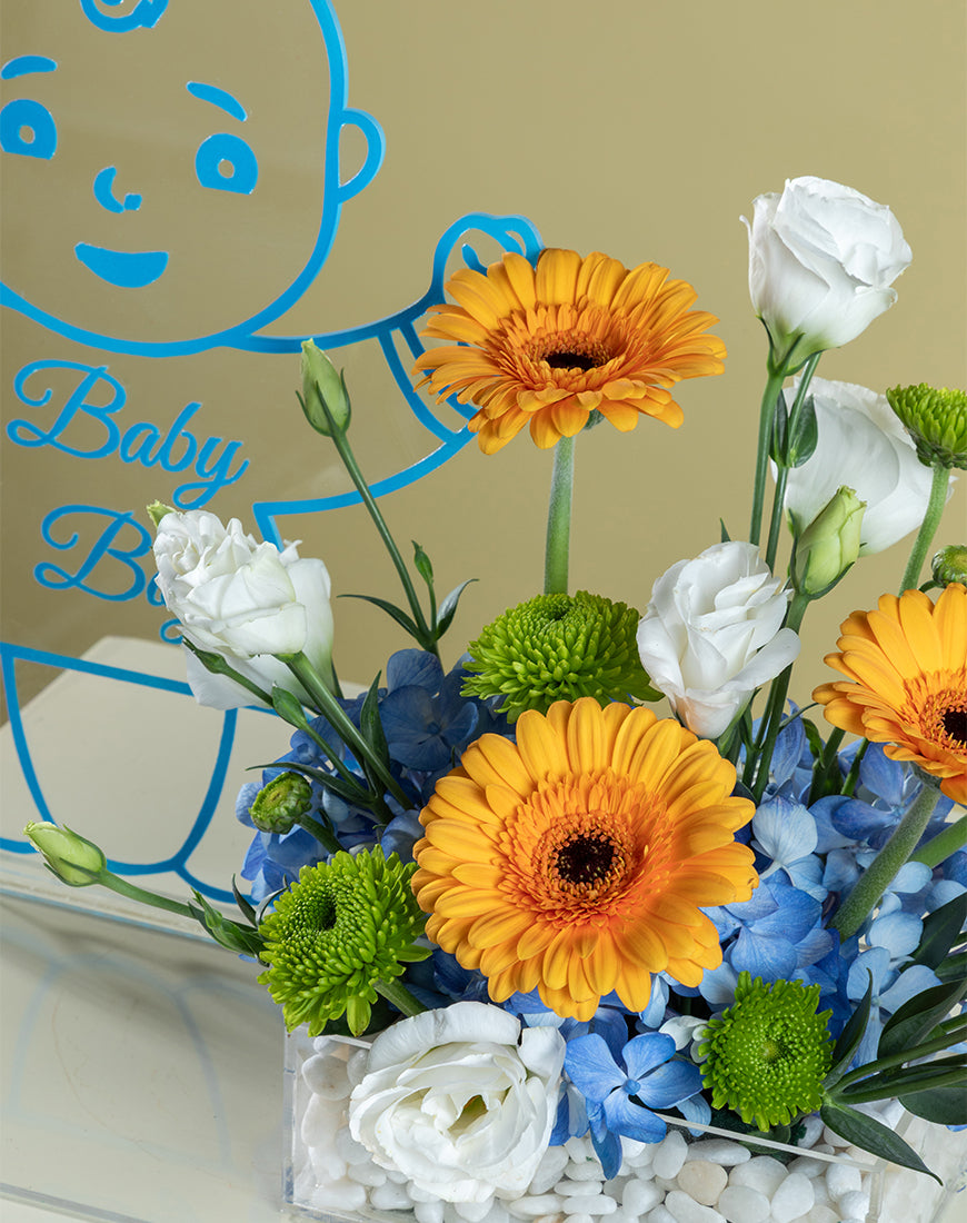Blue Hydrangea & Gerbera Baby Boy Tray with Vector - Image 3
