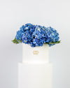 Blue Hydrangea in Large White Box Arrangement