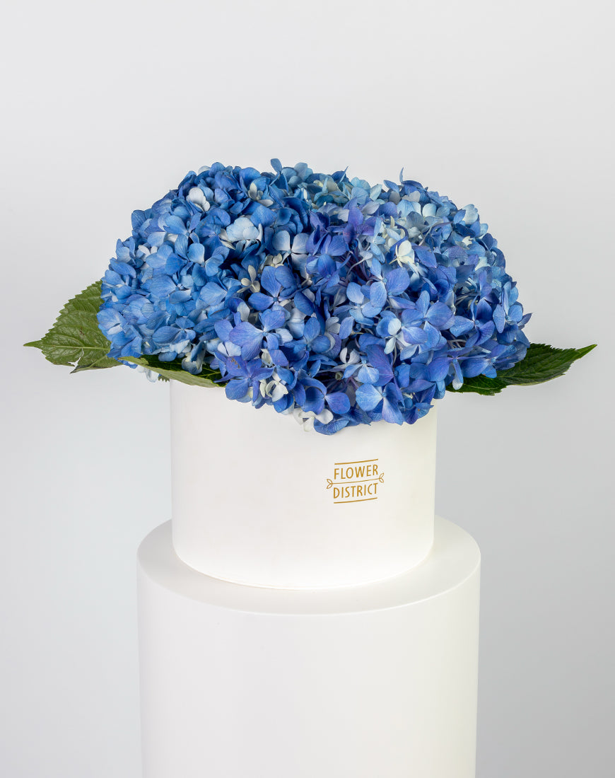 Blue Hydrangea in Large White Box Arrangement - Image 2