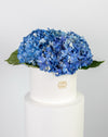 Blue Hydrangea in Large White Box Arrangement - Image 2