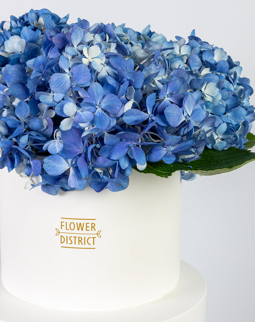 Blue Hydrangea in Large White Box Arrangement - Image 3