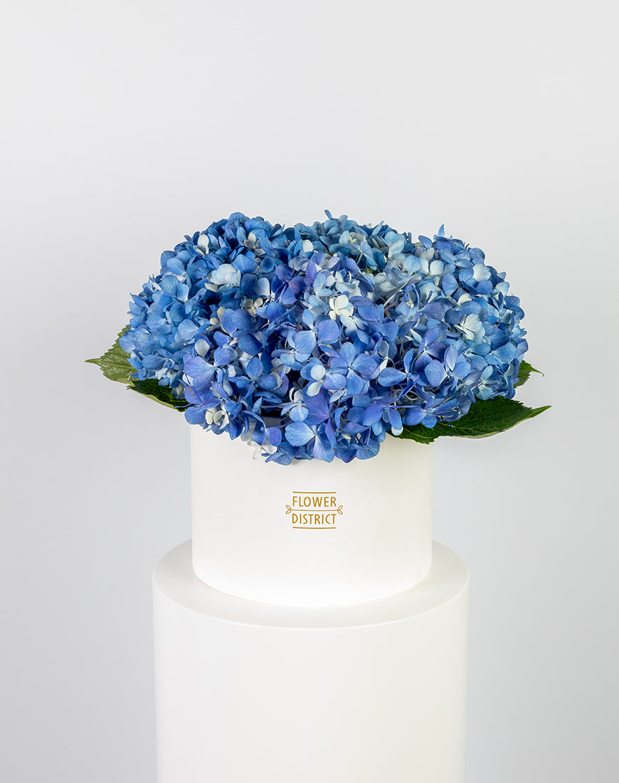 Blue Hydrangea in Large White Box Arrangement - Image 4
