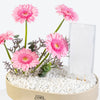 Blush Bloom Leather Tray With Money Box