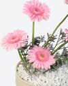 Blush Bloom Leather Tray With Money Box - Image 4