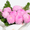 Blush Chrysanthemum Flower Bouquet image02