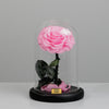 Blush Pink Preserved Rose Small Dome