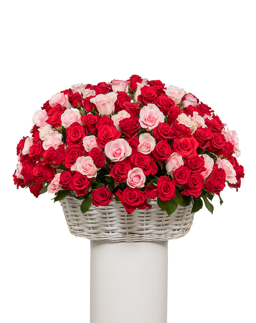 Blushing Paradise Extra Large Rose Basket Arrangement