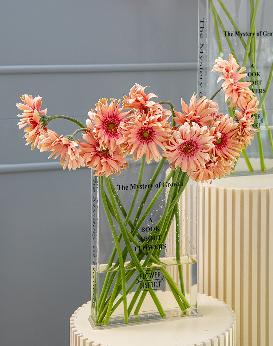 Book Vase Anthurium - Image 6