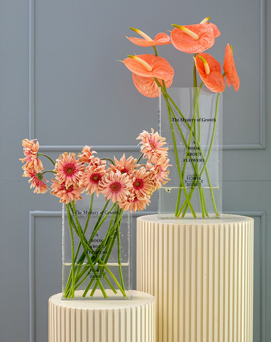 Book Vase Anthurium - Image 9