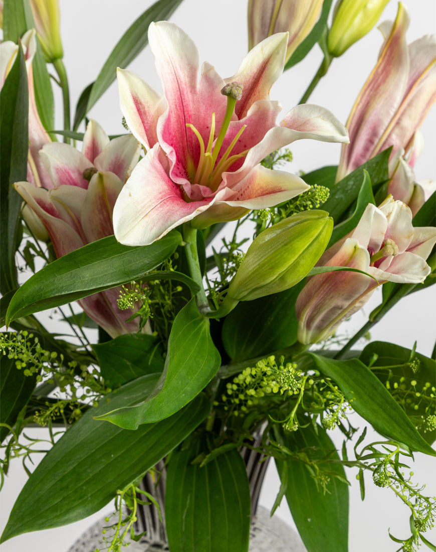 Casablanca Lily Elegance Vase - Image 4