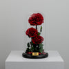 Crimson Red Twin Preserved Rose Dome Big