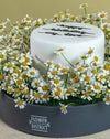 Daisy Delight Round Cake Box - Image 3