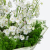 Delphinium Garden Flower Bouquet image02