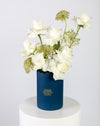 Elegant White Rose & Ammi Small Box Arrangement - Image 2