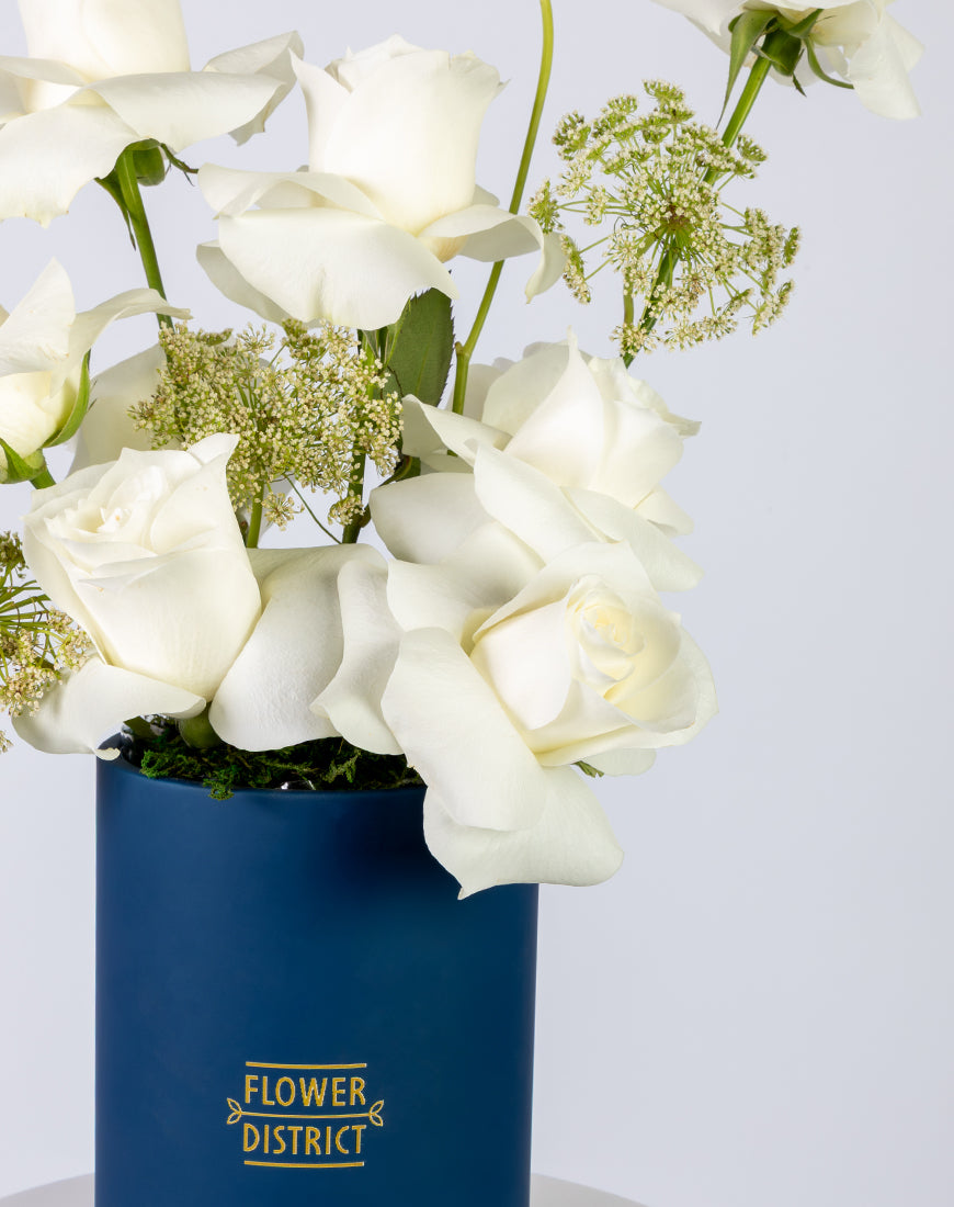 Elegant White Rose & Ammi Small Box Arrangement - Image 3