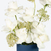 Elegant White Rose & Ammi Small Box Arrangement