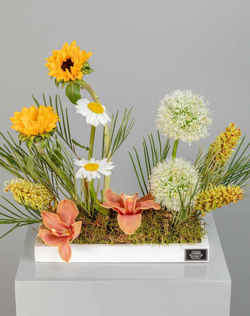 Academic Elegance - Image 2