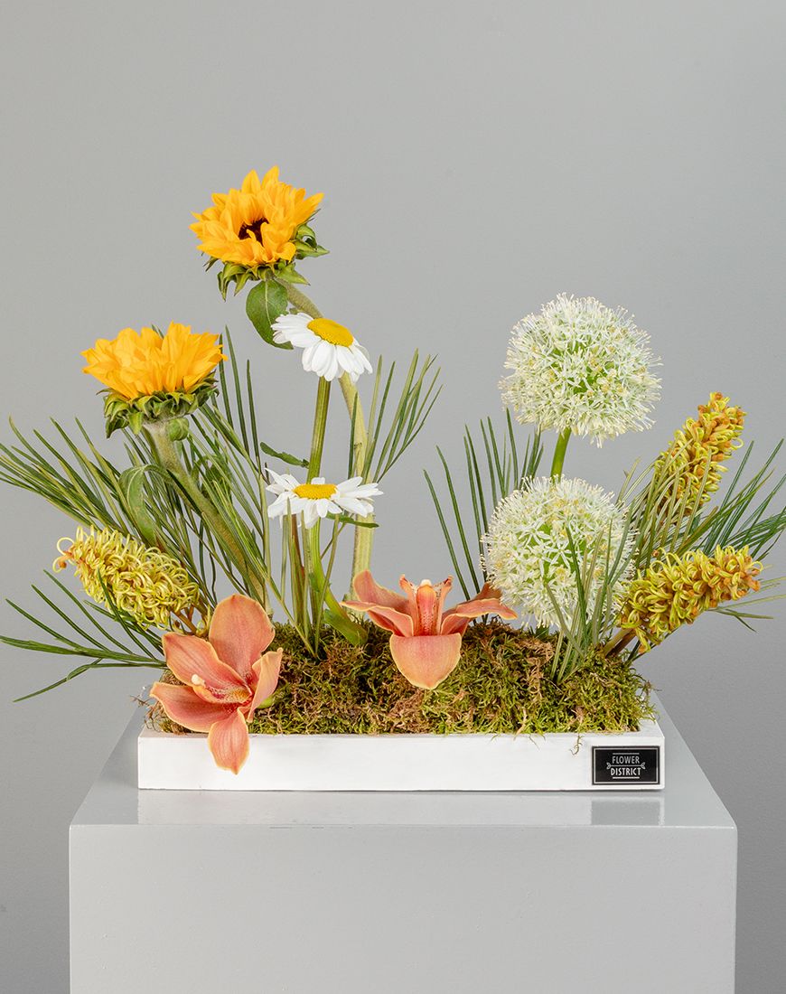 Academic Elegance - Image 3