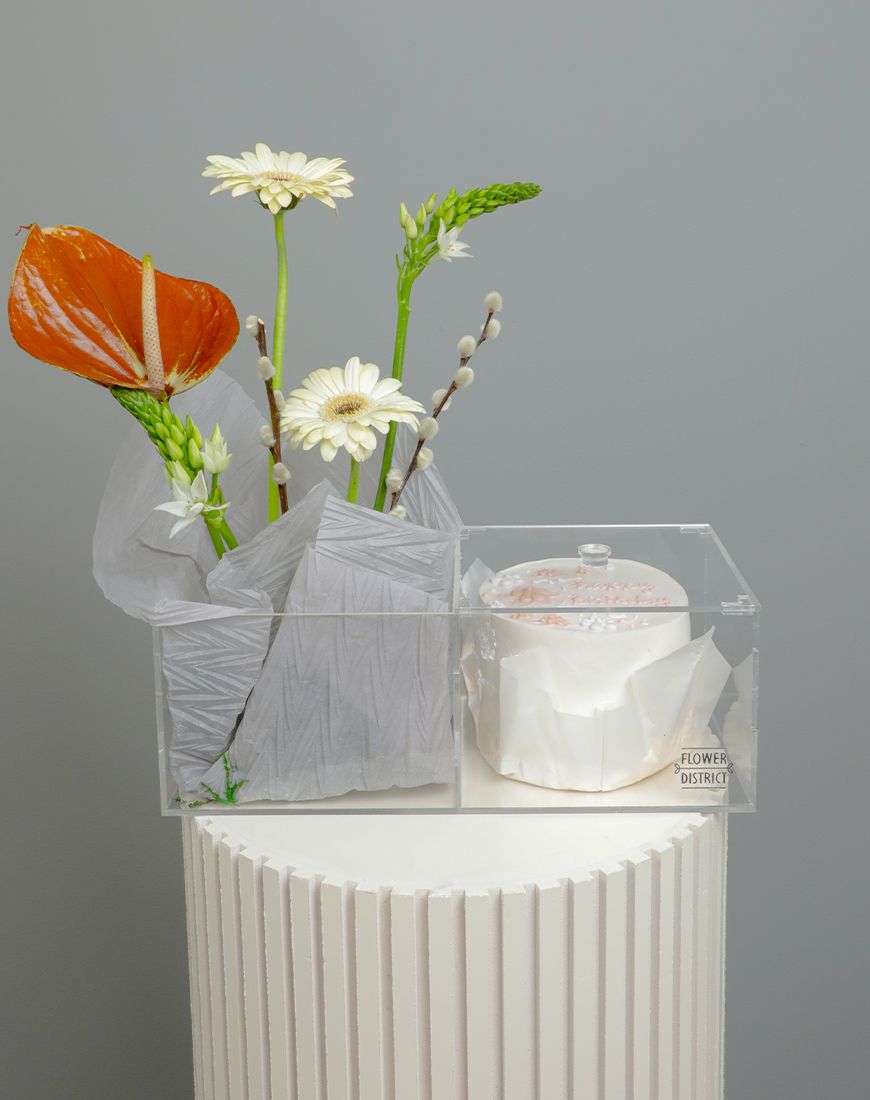 Anthurium Birthday Cake