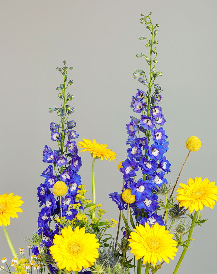 Delphinium and Gerbera Vase - Image 4