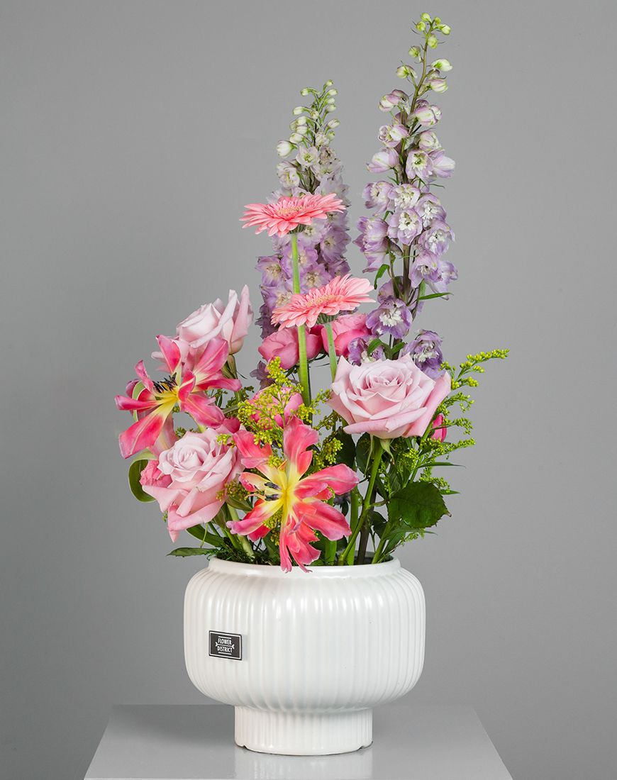 Blossom Bliss - Image 3