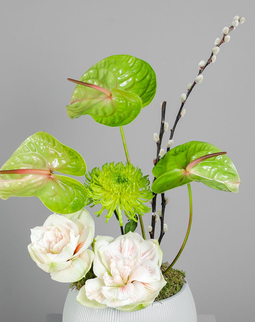 Double Amaryllis Vase - Image 2