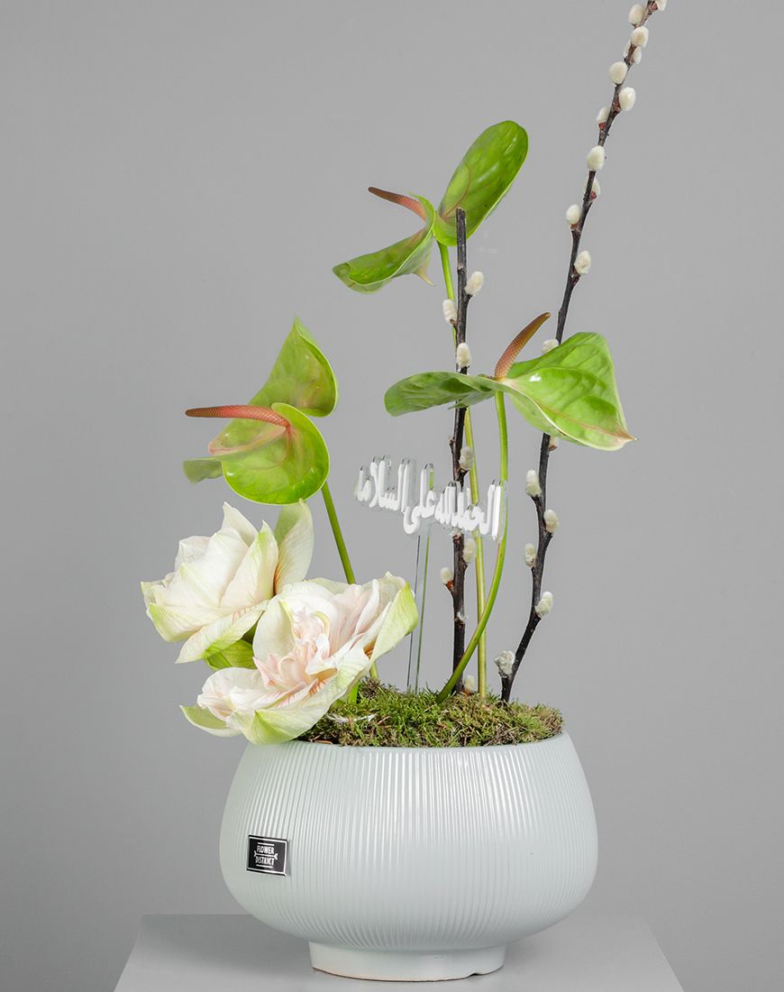 Double Amaryllis Vase - Image 3