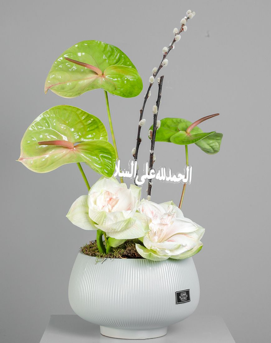 Double Amaryllis Vase - Image 4