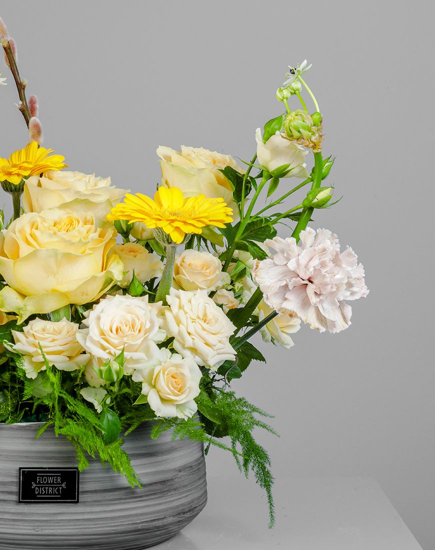 Sunshine Splendor - Image 2
