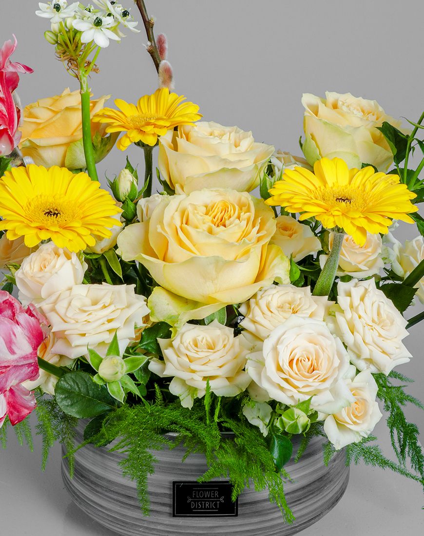 Sunshine Splendor - Image 4