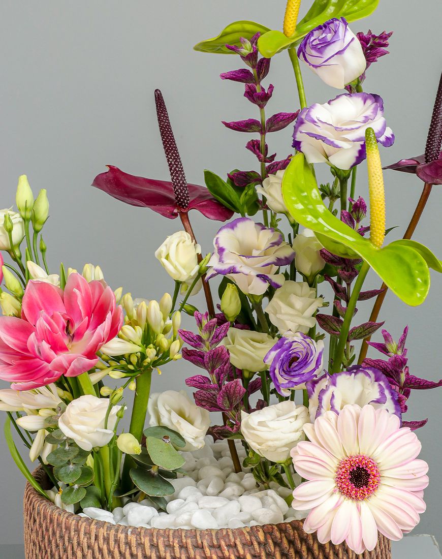 Eustoma Purple White Vase - Image 6