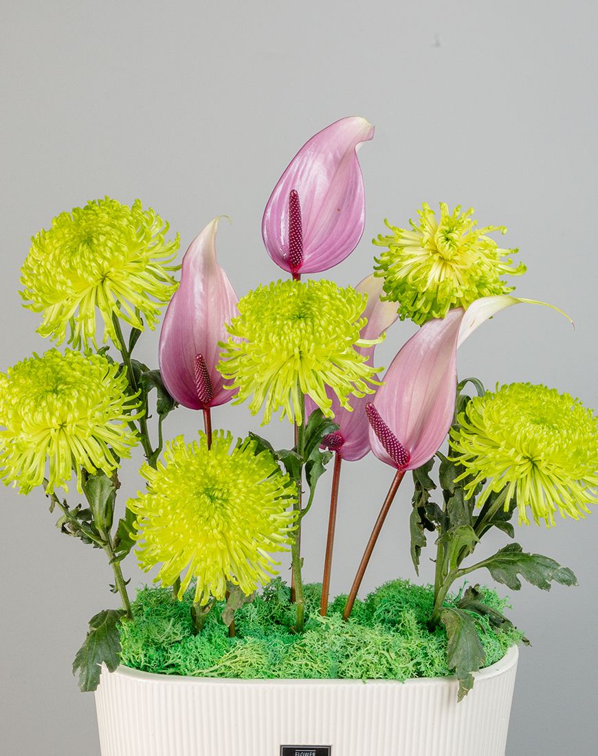 Future Flourish - Image 2