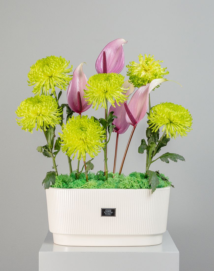 Future Flourish - Image 3