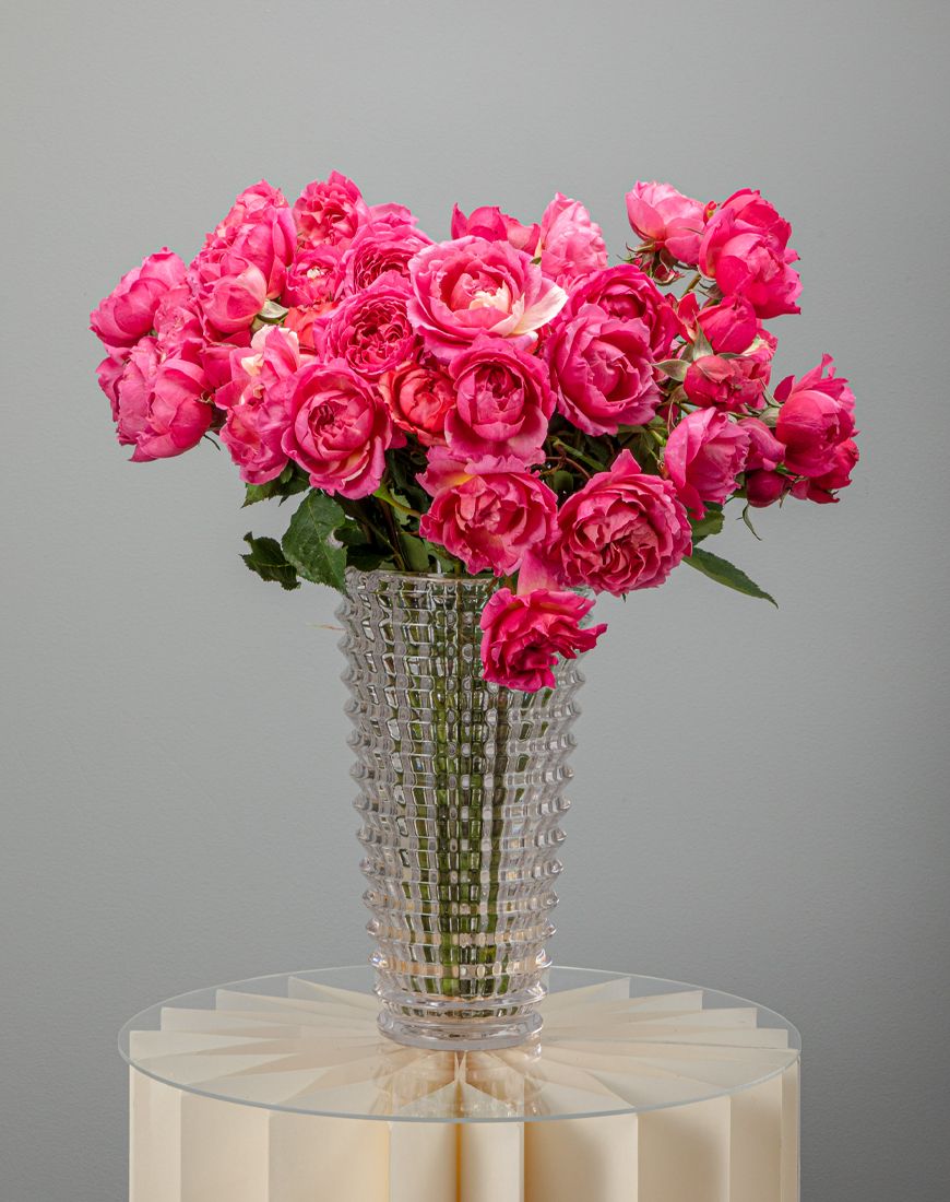 Garden Spray Rose in Vase