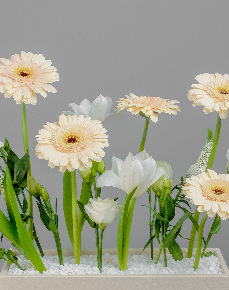 Gerbera Beige Flower Box - Image 2